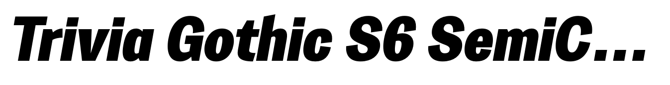Trivia Gothic S6 SemiCondensed Black Italic